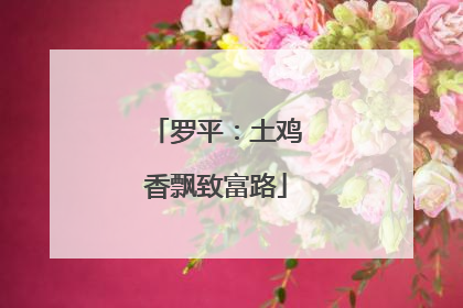 罗平：土鸡香飘致富路