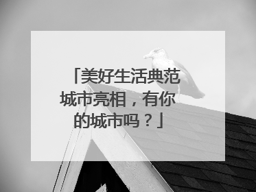 美好生活典范城市亮相，有你的城市吗？