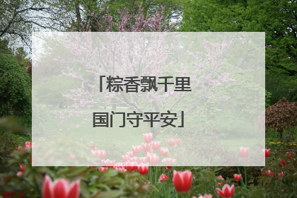 粽香飘千里 国门守平安