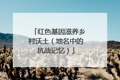 红色基因滋养乡村沃土（地名中的抗战记忆）