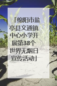 绵阳市盐亭县文通镇中心小学开展第38个世界无烟日宣传活动