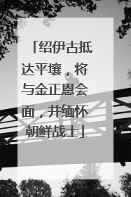 绍伊古抵达平壤，将与金正恩会面，并缅怀朝鲜战士
