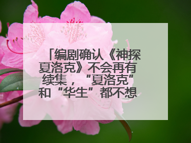 编剧确认《神探夏洛克》不会再有续集，“夏洛克”和“华生”都不想再出演了