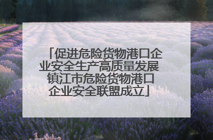 促进危险货物港口企业安全生产高质量发展 镇江市危险货物港口企业安全联盟成立
