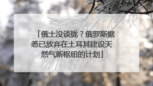 俄土没谈拢？俄罗斯据悉已放弃在土耳其建设天然气新枢纽的计划