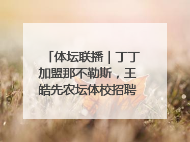 体坛联播｜丁丁加盟那不勒斯，王皓先农坛体校招聘笔试第一