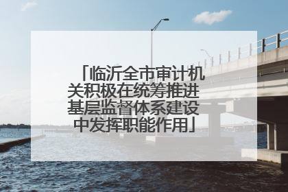 临沂全市审计机关积极在统筹推进基层监督体系建设中发挥职能作用