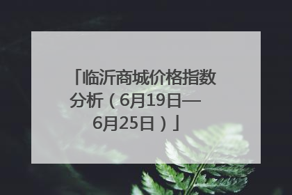 临沂商城价格指数分析（6月19日—6月25日）