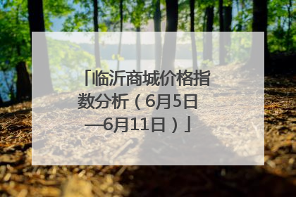 临沂商城价格指数分析（6月5日—6月11日）