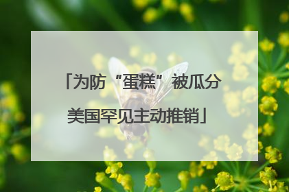为防“蛋糕”被瓜分 美国罕见主动推销