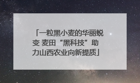 一粒黑小麦的华丽蜕变 麦田“黑科技”助力山西农业向新提质