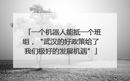 一个机器人能抵一个班组，“武汉的好政策给了我们极好的发展机遇”