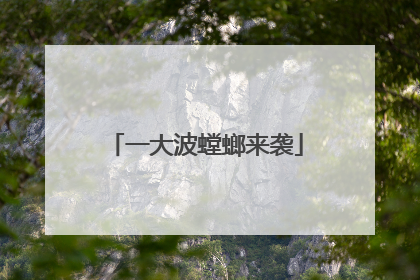 一大波螳螂来袭