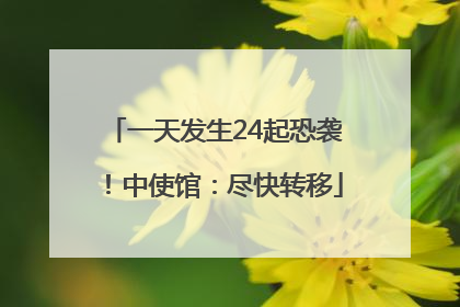 一天发生24起恐袭！中使馆：尽快转移