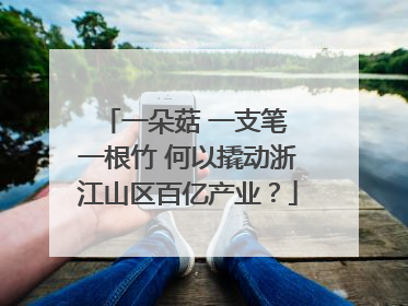 一朵菇 一支笔 一根竹 何以撬动浙江山区百亿产业？