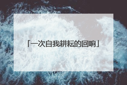 一次自我耕耘的回响