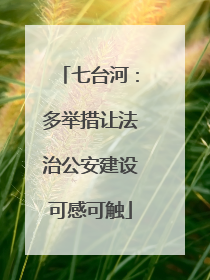 七台河：多举措让法治公安建设可感可触
