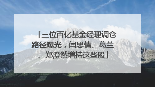 三位百亿基金经理调仓路径曝光，闫思倩、葛兰、郑澄然增持这些股