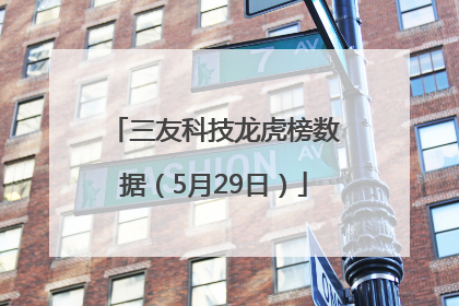 三友科技龙虎榜数据（5月29日）