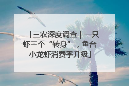 三农深度调查｜一只虾三个“转身”，鱼台小龙虾消费季升级