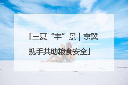 三夏“丰”景｜京冀携手共助粮食安全
