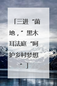 三进“菌地，”黑木耳法庭“呵护乡村梦想”