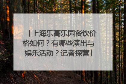 上海乐高乐园餐饮价格如何？有哪些演出与娱乐活动？记者探营