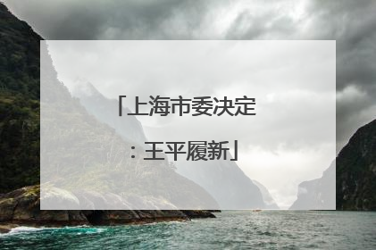 上海市委决定：王平履新