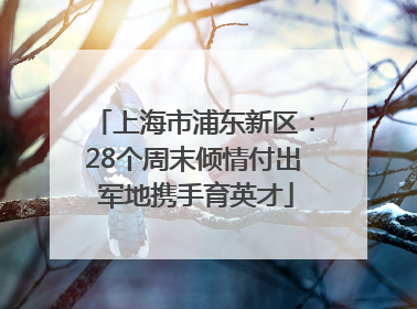 上海市浦东新区：28个周末倾情付出 军地携手育英才