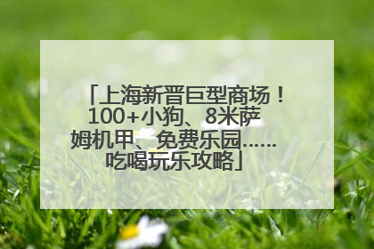 上海新晋巨型商场！100+小狗、8米萨姆机甲、免费乐园……吃喝玩乐攻略