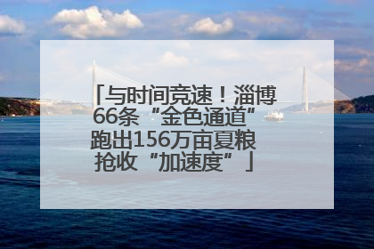 与时间竞速！淄博66条“金色通道”跑出156万亩夏粮抢收“加速度”
