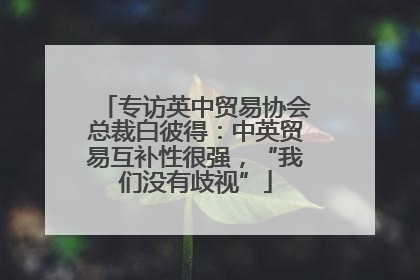 专访英中贸易协会总裁白彼得：中英贸易互补性很强，“我们没有歧视”