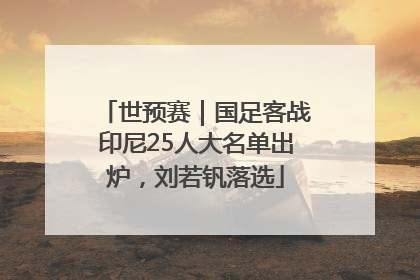 世预赛｜国足客战印尼25人大名单出炉，刘若钒落选