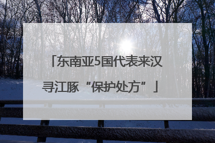 东南亚5国代表来汉寻江豚“保护处方”