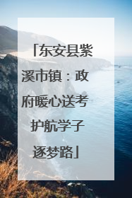 东安县紫溪市镇：政府暖心送考 护航学子逐梦路