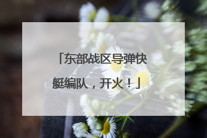 东部战区导弹快艇编队，开火！