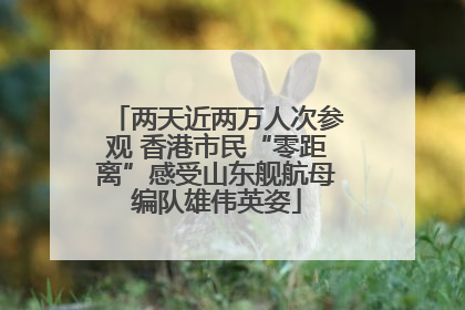 两天近两万人次参观 香港市民“零距离”感受山东舰航母编队雄伟英姿