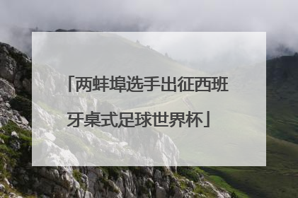 两蚌埠选手出征西班牙桌式足球世界杯