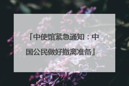 中使馆紧急通知：中国公民做好撤离准备