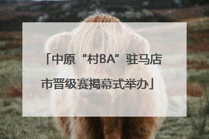 中原“村BA”驻马店市晋级赛揭幕式举办