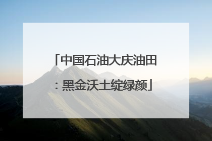 中国石油大庆油田：黑金沃土绽绿颜