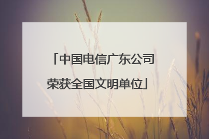 中国电信广东公司荣获全国文明单位