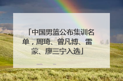 中国男篮公布集训名单，周琦、曾凡博、雷蒙、廖三宁入选