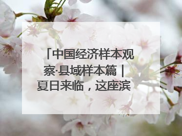 中国经济样本观察·县域样本篇｜夏日来临，这座滨海小城吸引众多年轻人打卡……