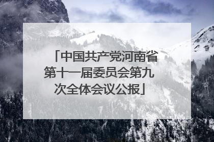 中国共产党河南省第十一届委员会第九次全体会议公报