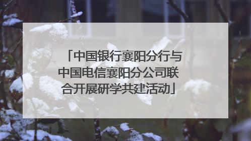 中国银行襄阳分行与中国电信襄阳分公司联合开展研学共建活动