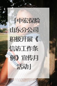 中宏保险山东分公司积极开展《信访工作条例》宣传月活动