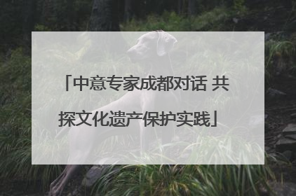 中意专家成都对话 共探文化遗产保护实践