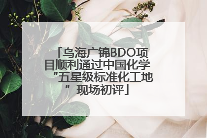 乌海广锦BDO项目顺利通过中国化学“五星级标准化工地”现场初评