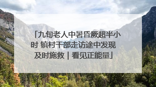 九旬老人中暑昏厥超半小时 镇村干部走访途中发现及时施救｜看见正能量